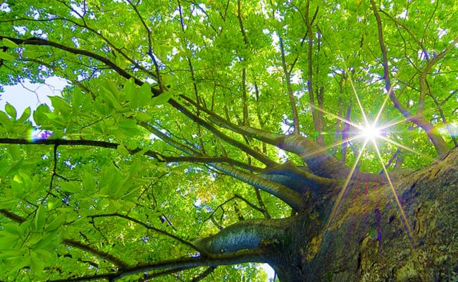 TPM（総合防虫管理）